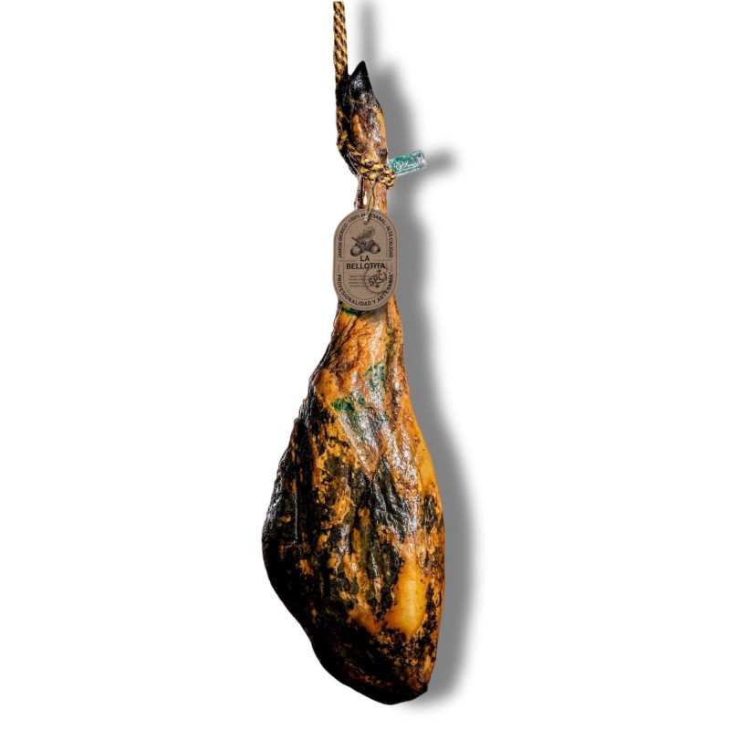 小橡果CEBO DE CAMPO绿标火腿 50% IBERICO (215)